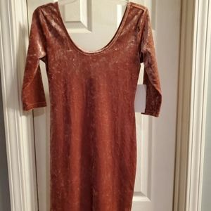 Chance sz S, dusty rose, crushed velvet dress w/ 3/4 length sleeves. Nwt.